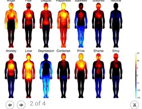 Which one do you want to be?